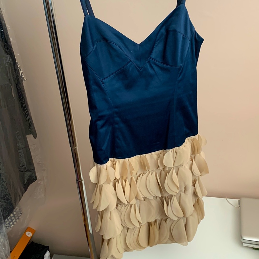 PARTY DRESS! Fitted satin/silk bodice and lots of movement in the skirt.